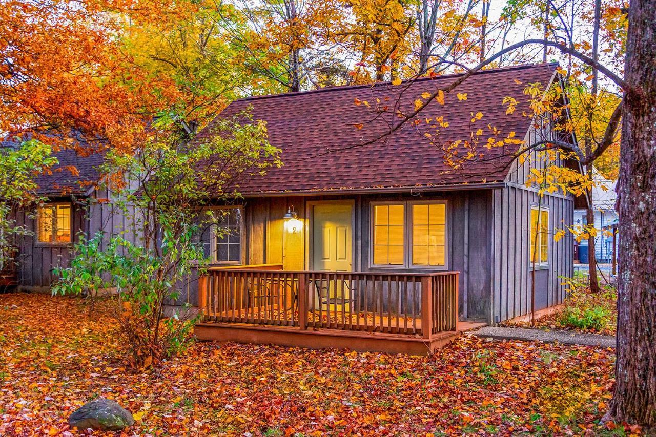 Love Ridge Mountain Lodging Lyndhurst Екстериор снимка