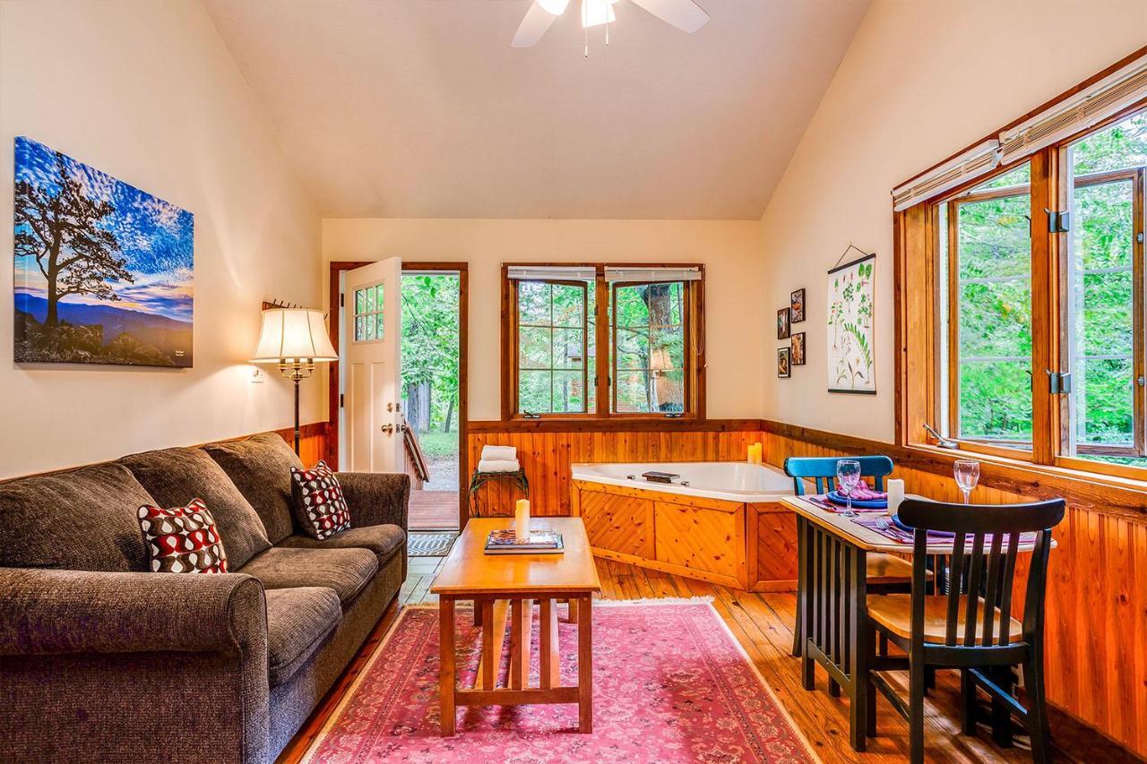 Love Ridge Mountain Lodging Lyndhurst Екстериор снимка