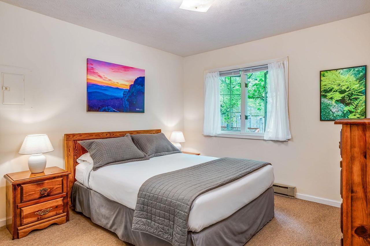 Love Ridge Mountain Lodging Lyndhurst Екстериор снимка