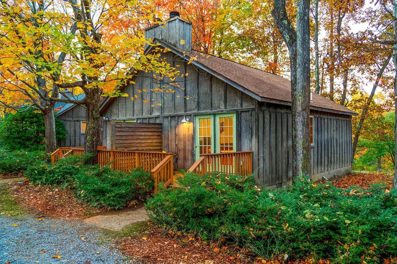 Love Ridge Mountain Lodging Lyndhurst Екстериор снимка
