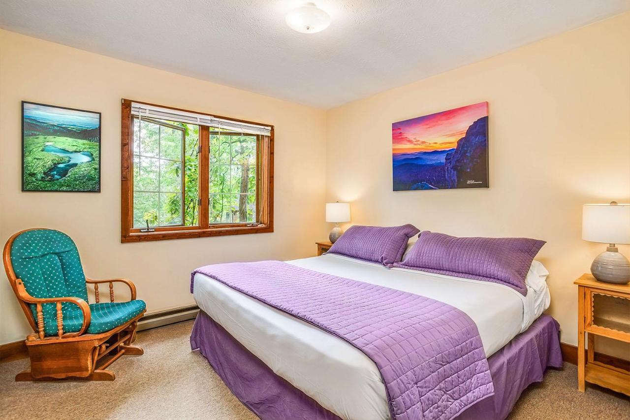 Love Ridge Mountain Lodging Lyndhurst Екстериор снимка