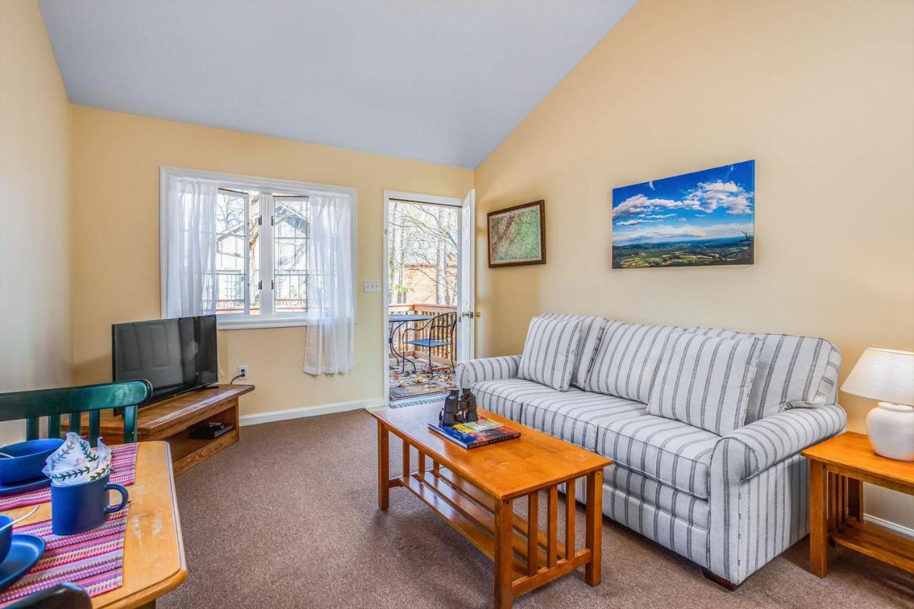 Love Ridge Mountain Lodging Lyndhurst Екстериор снимка