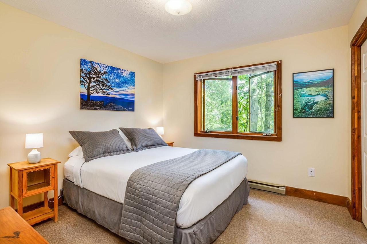 Love Ridge Mountain Lodging Lyndhurst Екстериор снимка