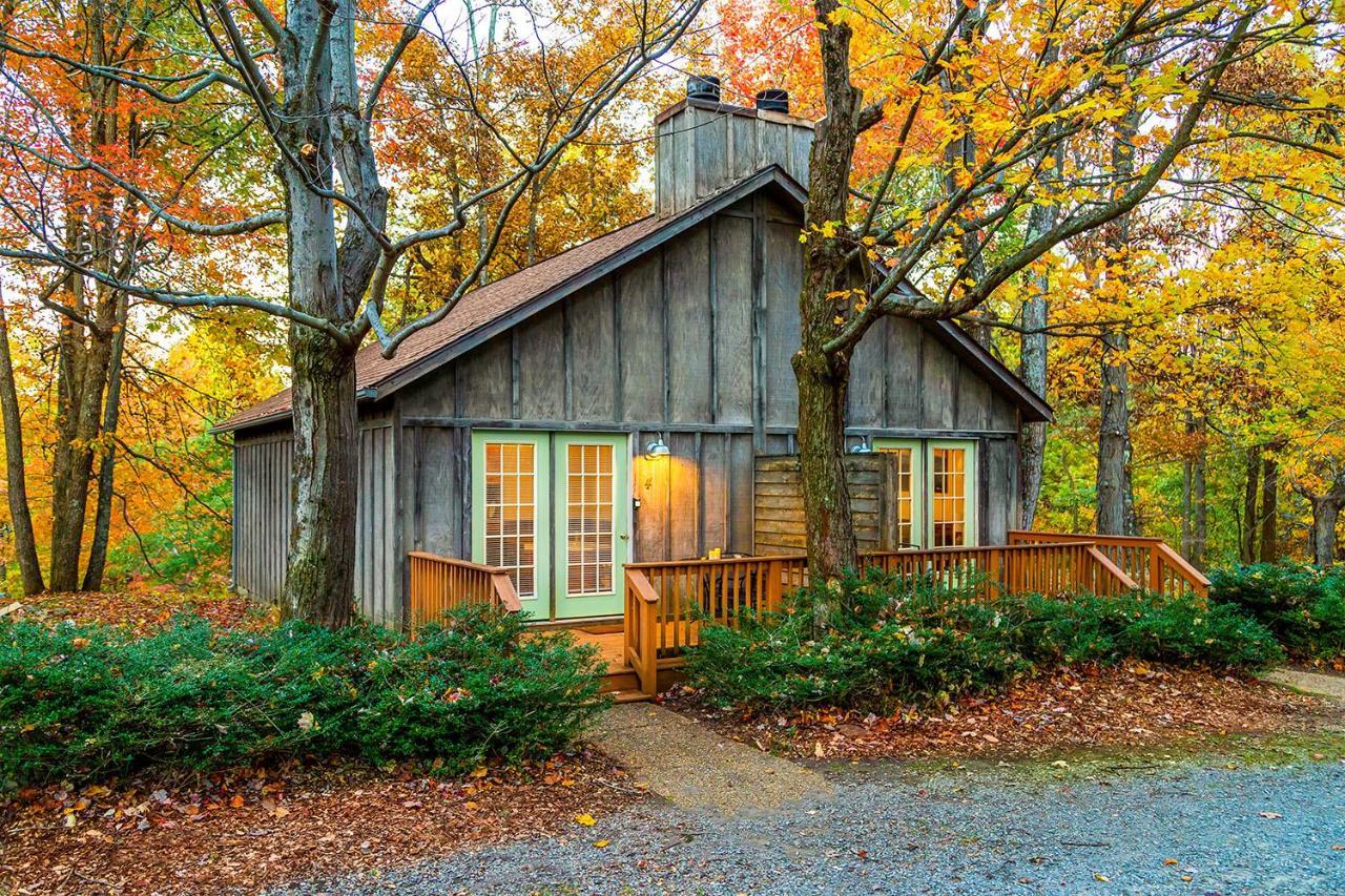 Love Ridge Mountain Lodging Lyndhurst Екстериор снимка
