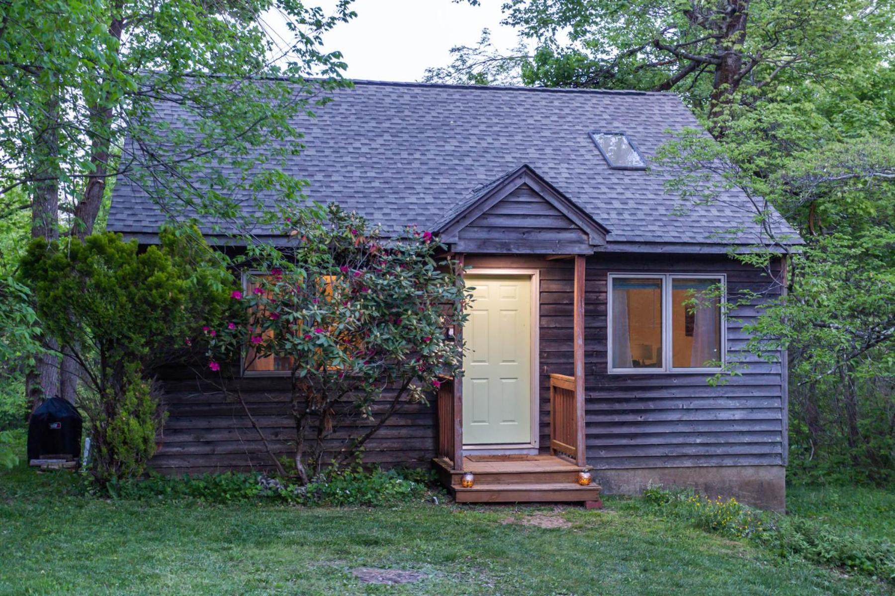 Love Ridge Mountain Lodging Lyndhurst Екстериор снимка