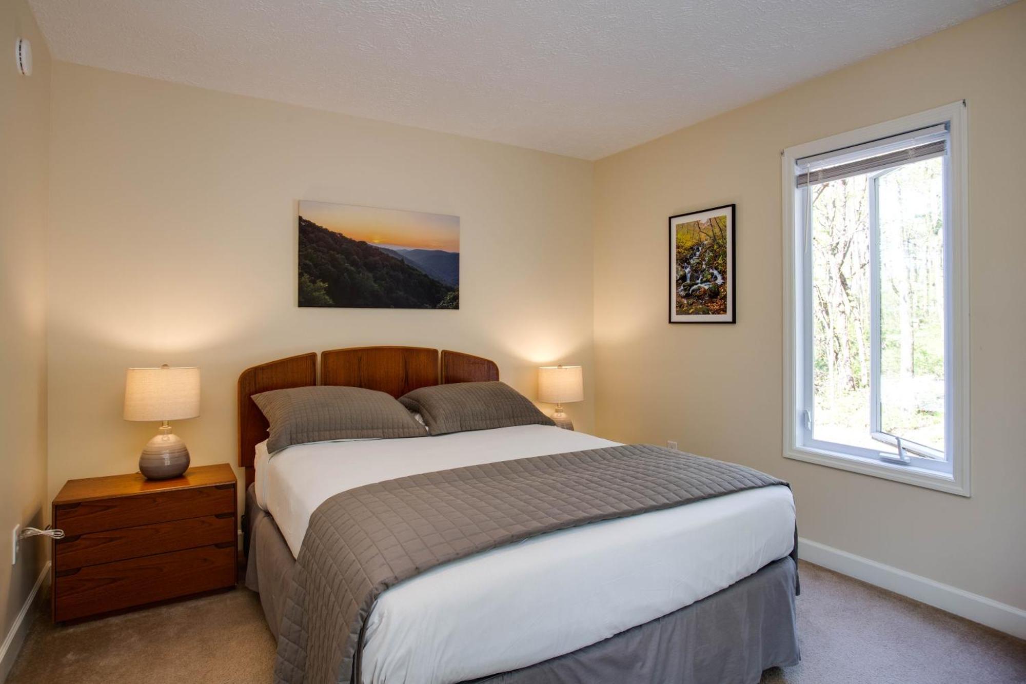 Love Ridge Mountain Lodging Lyndhurst Екстериор снимка
