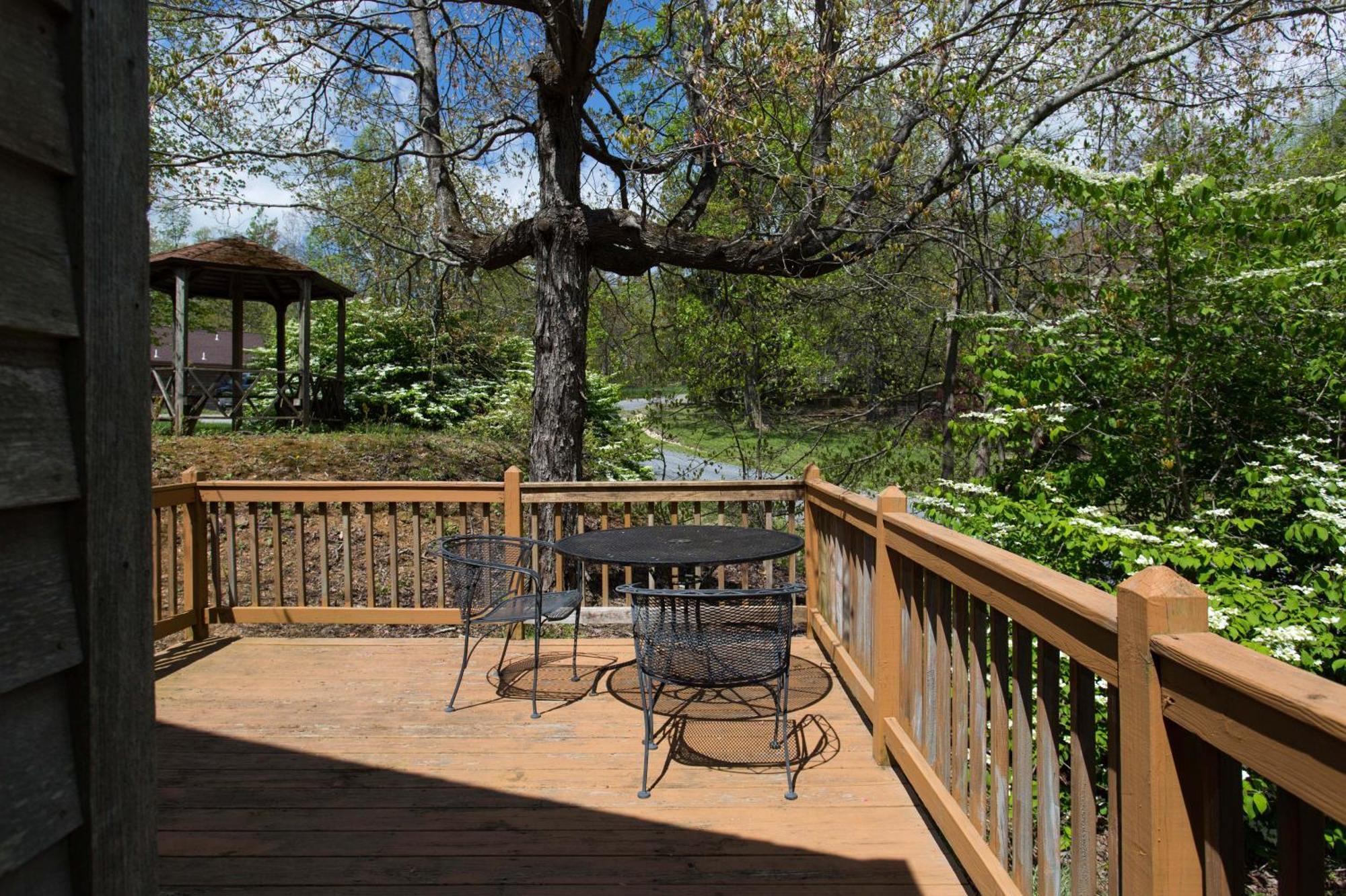 Love Ridge Mountain Lodging Lyndhurst Екстериор снимка