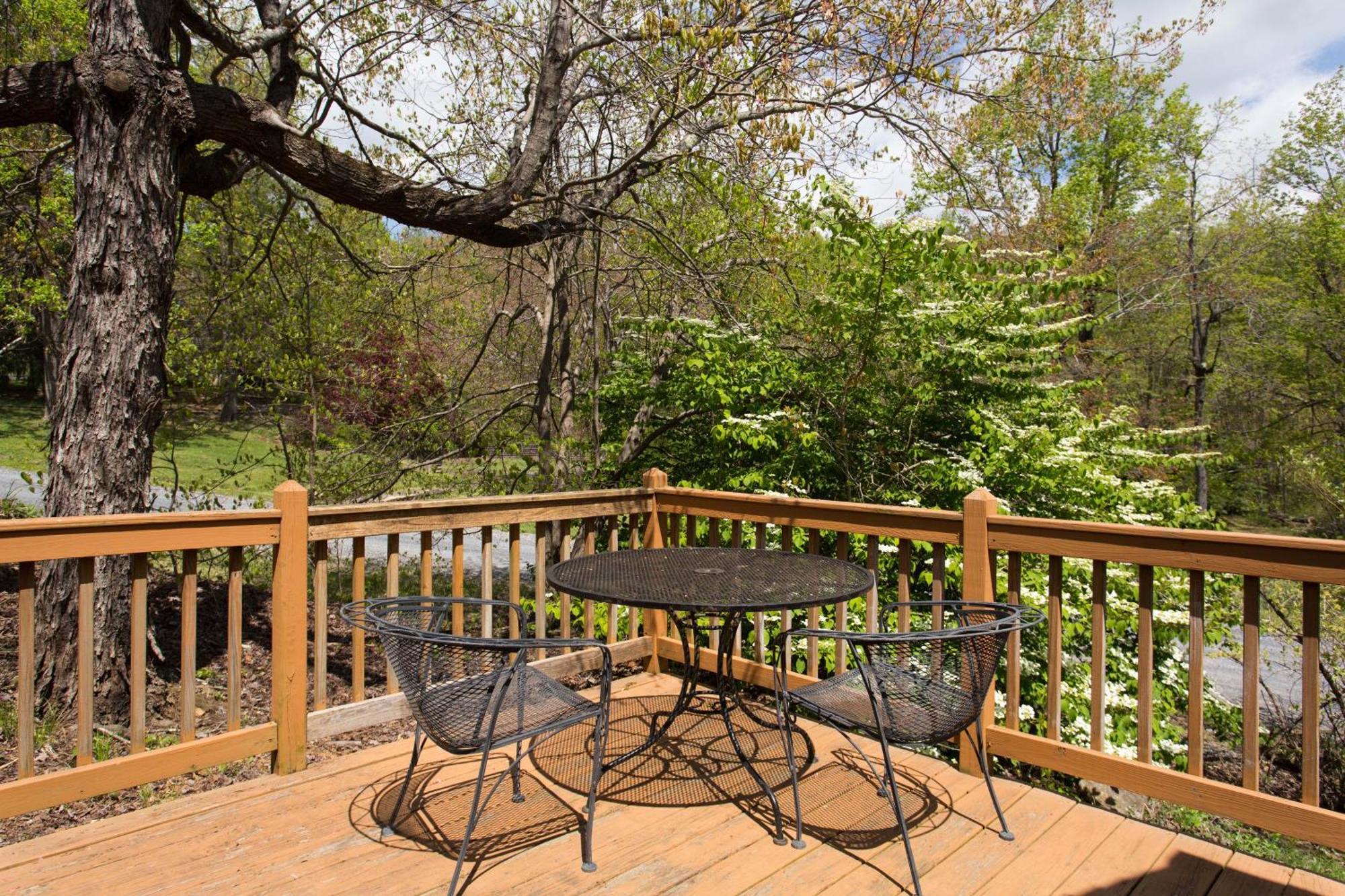 Love Ridge Mountain Lodging Lyndhurst Екстериор снимка