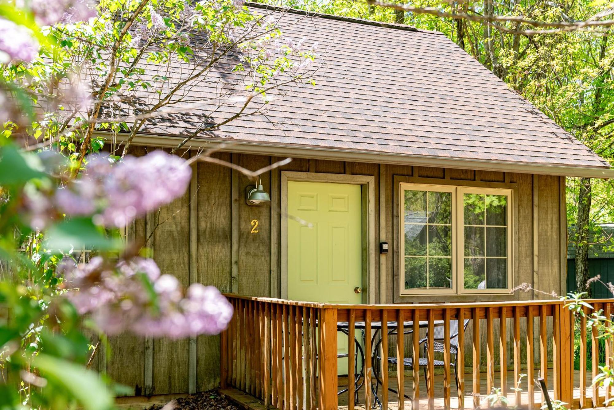 Love Ridge Mountain Lodging Lyndhurst Екстериор снимка